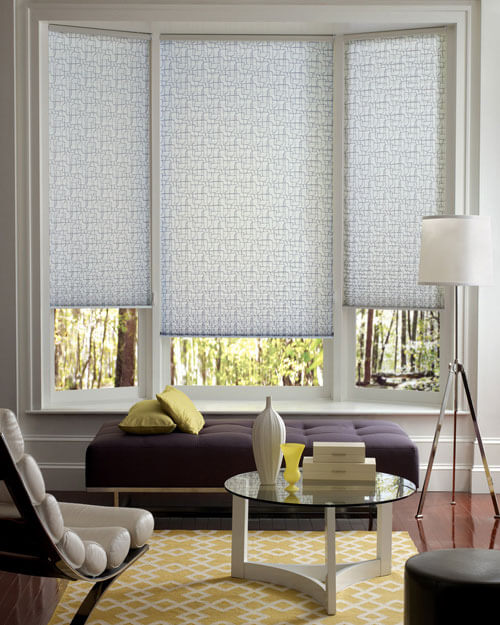 Pleated Shades Hunter Douglas